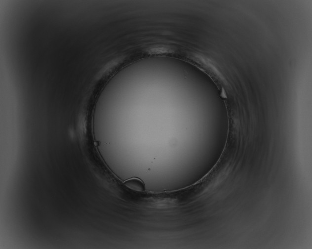 X0000099980539200806061525