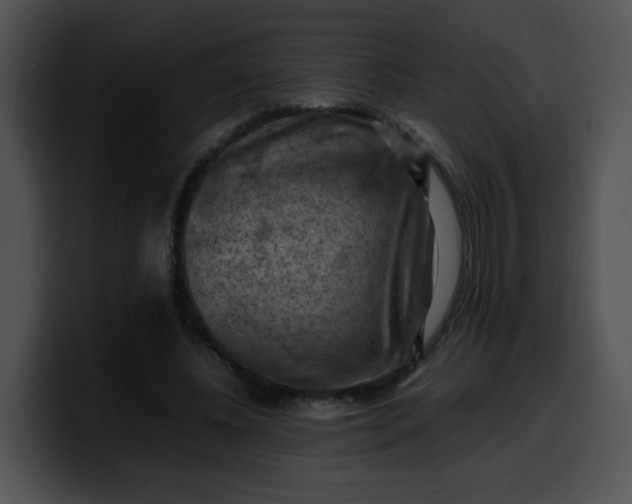 X0000099980540200806061525