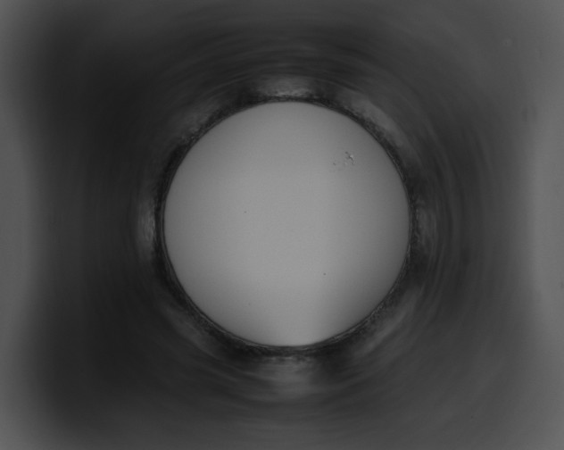 X0000099980541200806061525