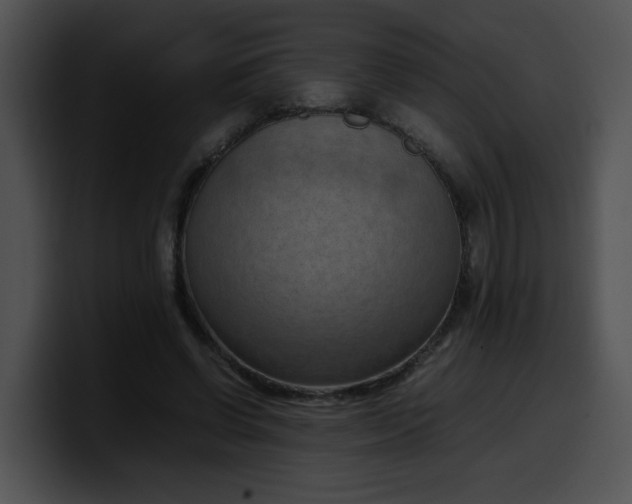 X0000099980542200806061525