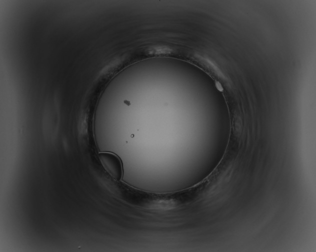 X0000099980543200806061525