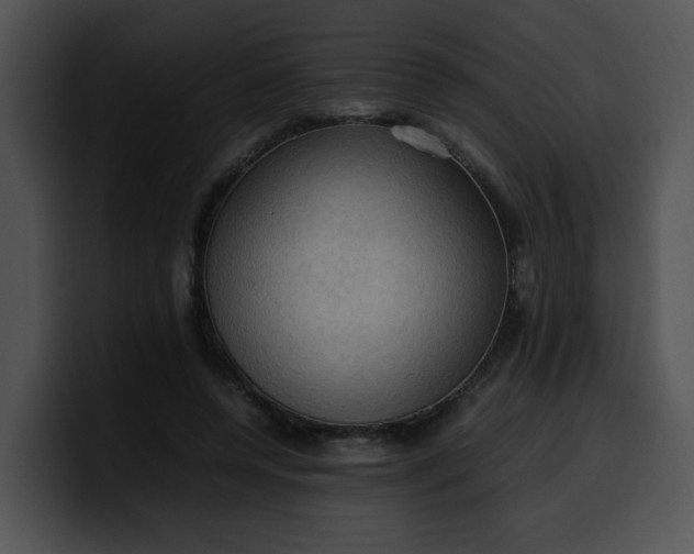 X0000099980544200806061525