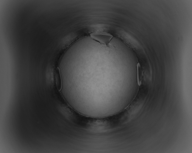 X0000099980546200806061525