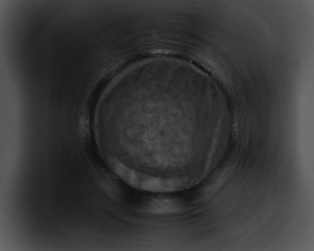 X0000099980547200806061525