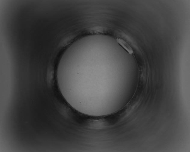 X0000099980548200806061525