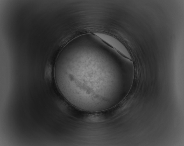 X0000099980550200806061526