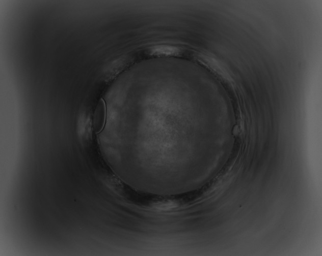 X0000099980551200806061526