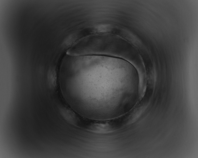 X0000099980552200806061526