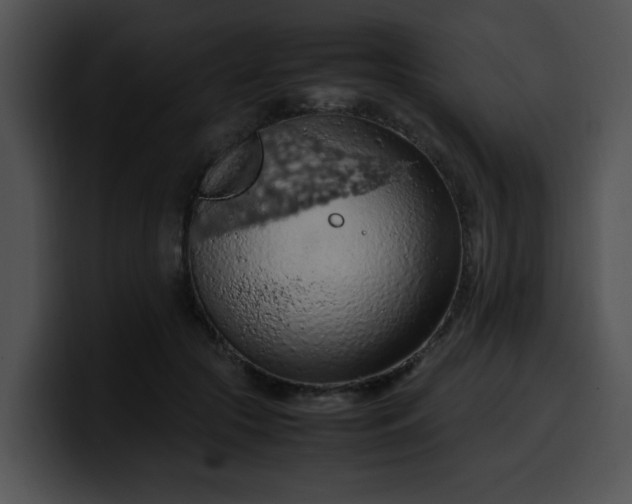 X0000099980553200806061526