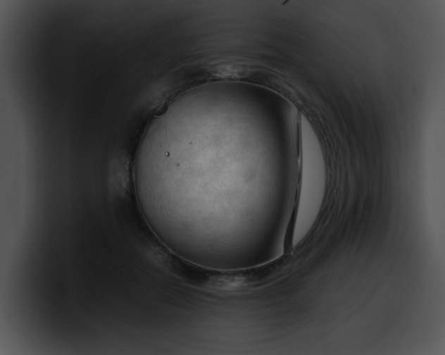 X0000099980554200806061526