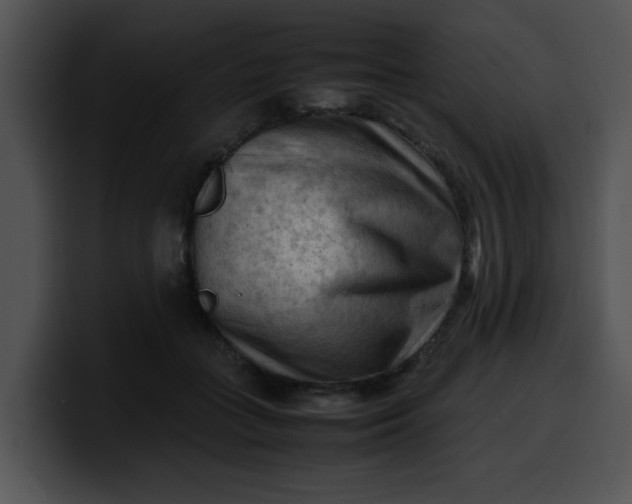 X0000099980555200806061526