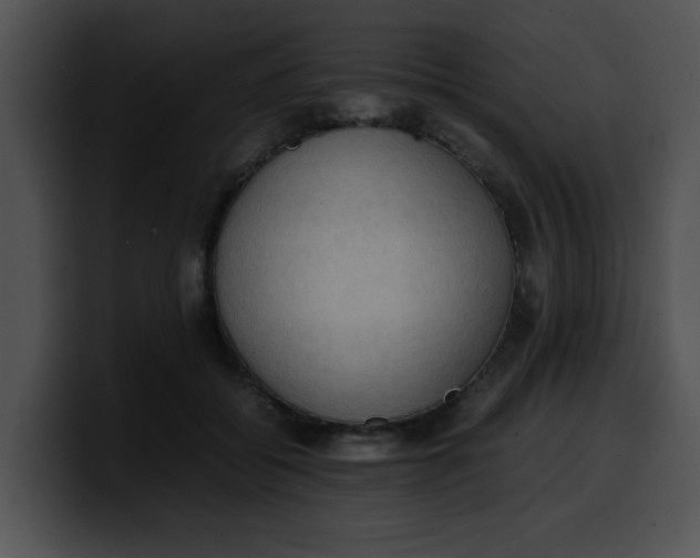 X0000099980556200806061526