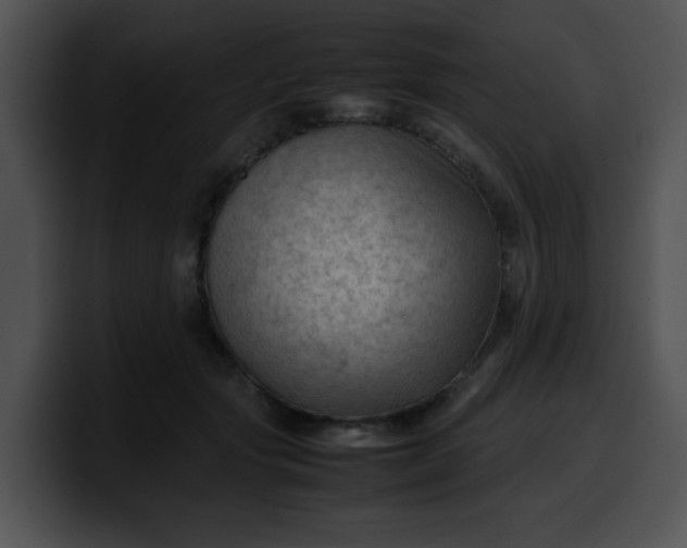 X0000099980557200806061526