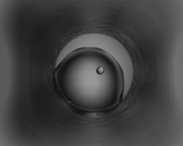 X0000099980558200806061526