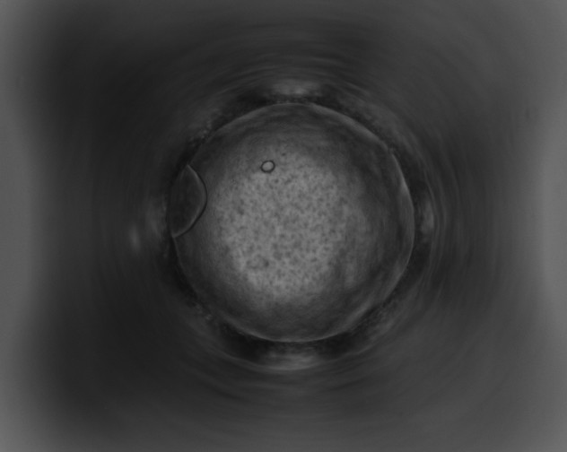 X0000099980559200806061526