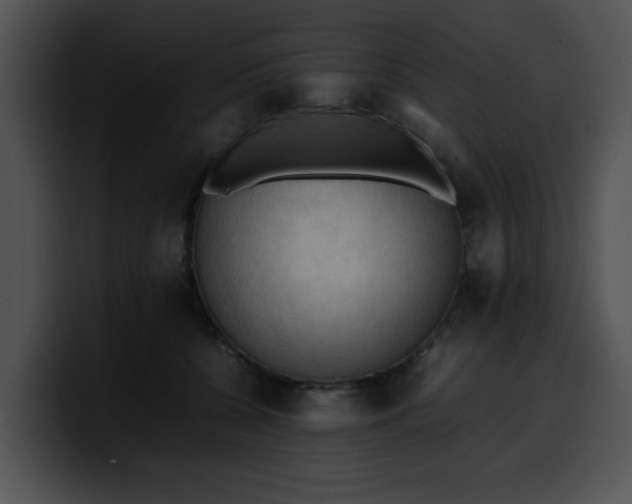 X0000099980560200806061526