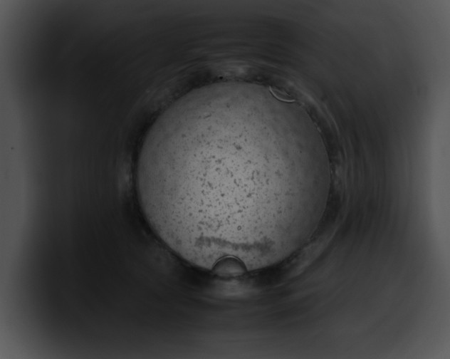 X0000099980561200806061526