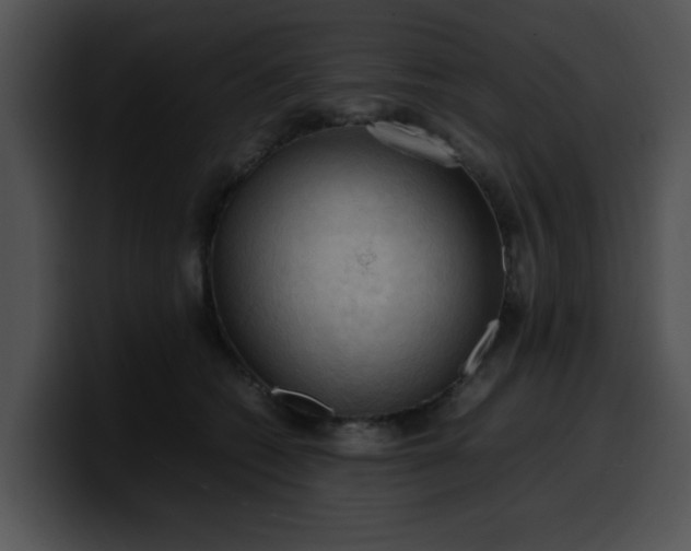 X0000099980562200806061526