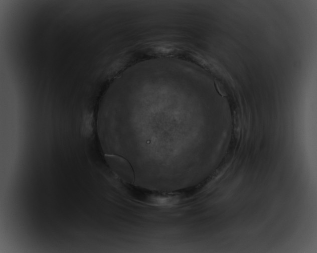 X0000099980563200806061526