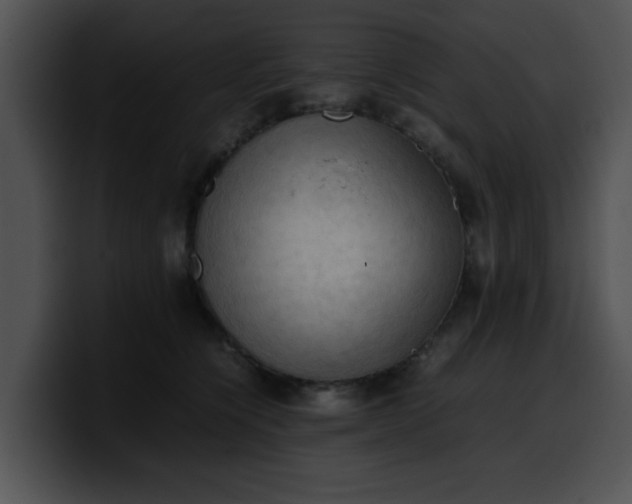 X0000099980564200806061526