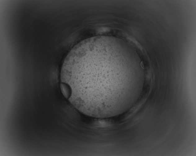 X0000099980565200806061526