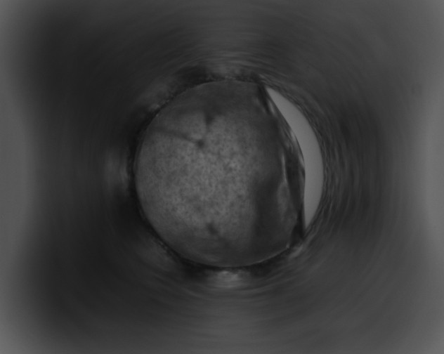 X0000099980566200806061526