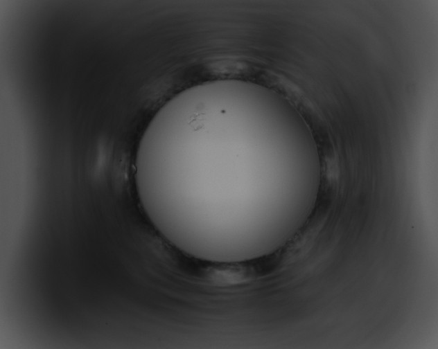 X0000099980567200806061526