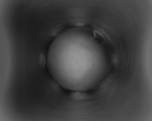 X0000099980568200806061526