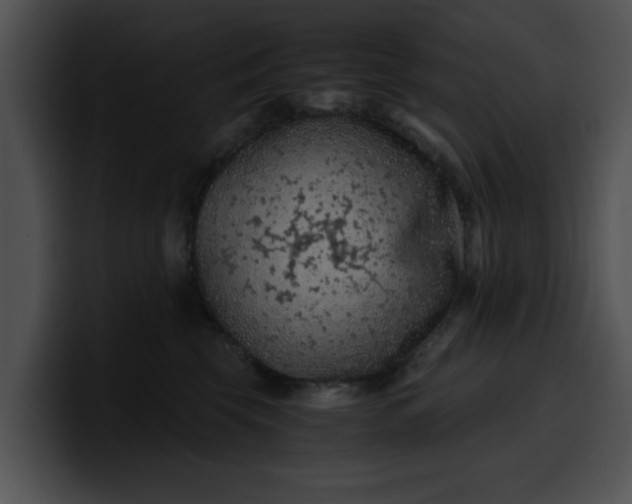 X0000099980569200806061526