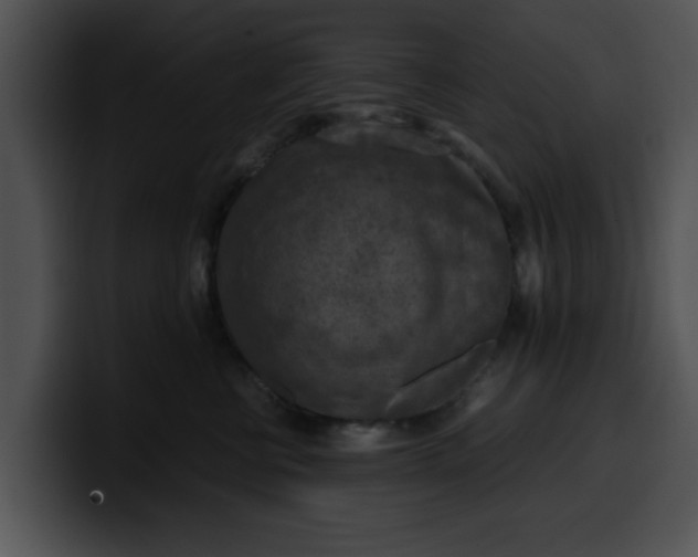 X0000099980570200806061526