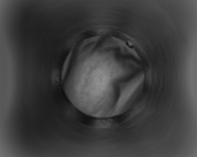 X0000099980571200806061526