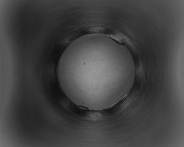 X0000099980572200806061526