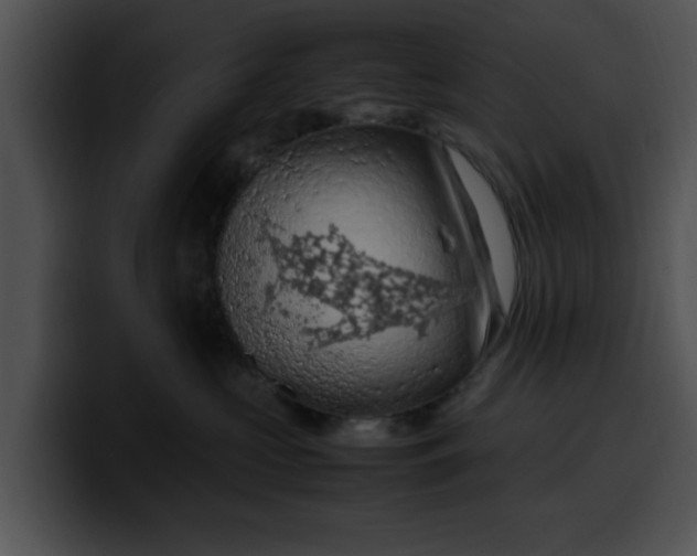 X0000099980573200806061526