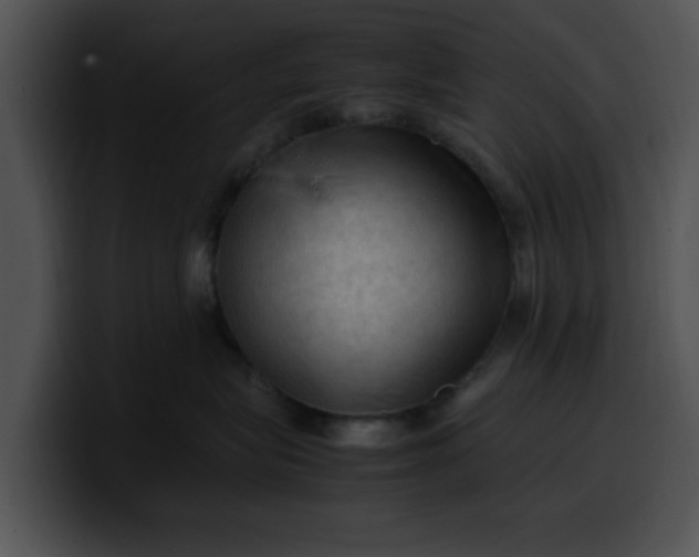 X0000099980575200806061526