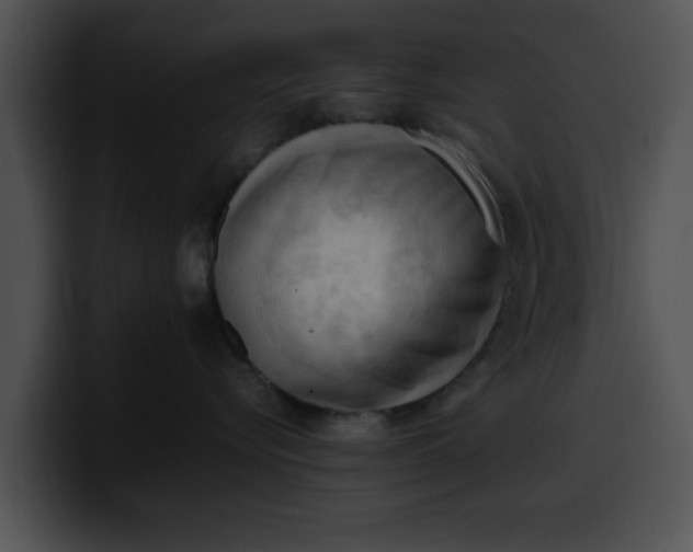 X0000099980576200806061526