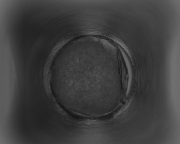 X0000099980577200806061525