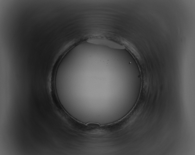 X0000099980578200806061525