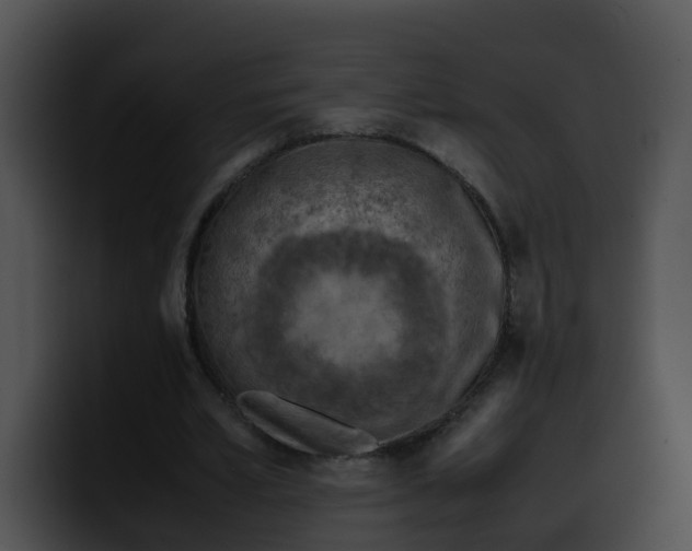 X0000099980581200806061525