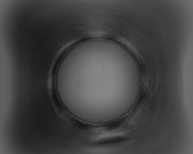 X0000099980583200806061525