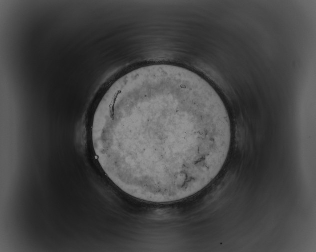 X0000099980584200806061525