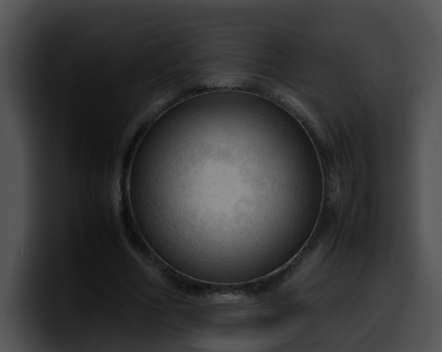 X0000099980586200806061525