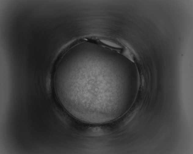 X0000099980588200806061525