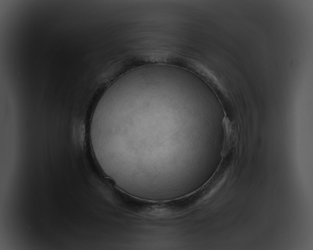 X0000099980589200806061525