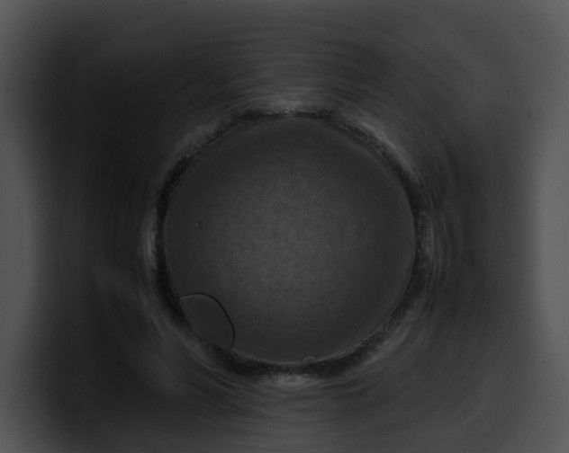 X0000099980590200806061525