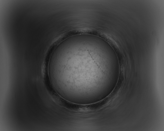 X0000099980591200806061525