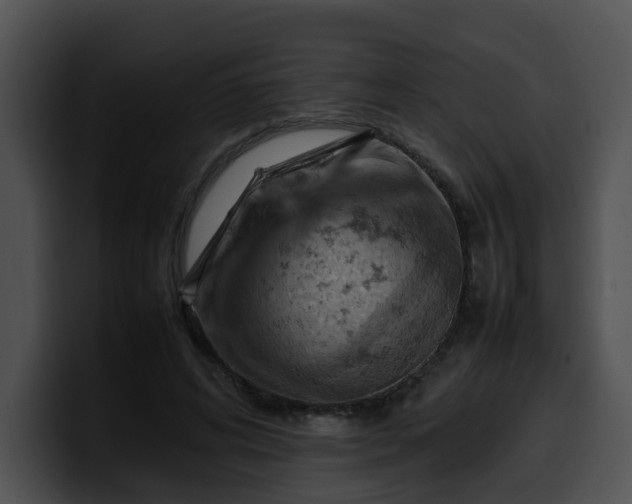 X0000099980592200806061525