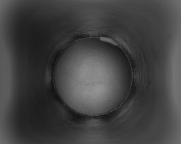 X0000099980593200806061525