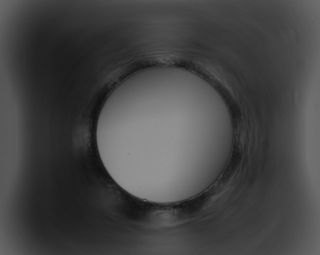 X0000099980595200806061525