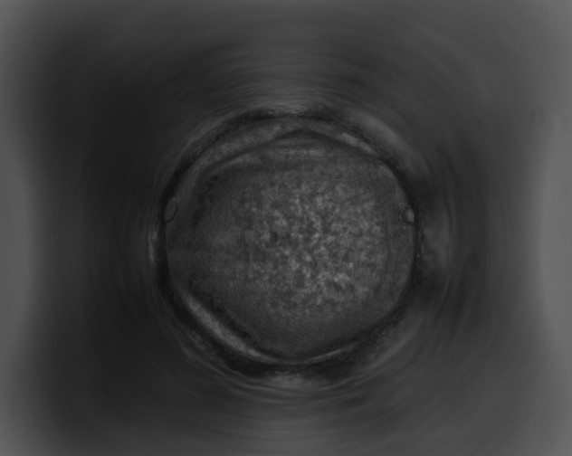 X0000099980596200806061525