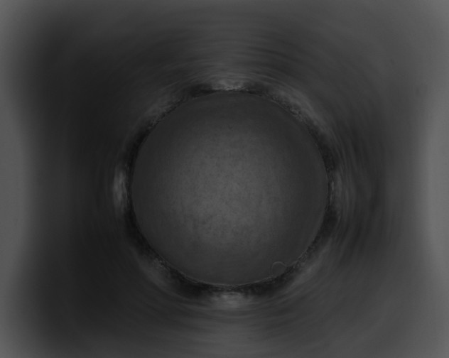 X0000099980598200806061525